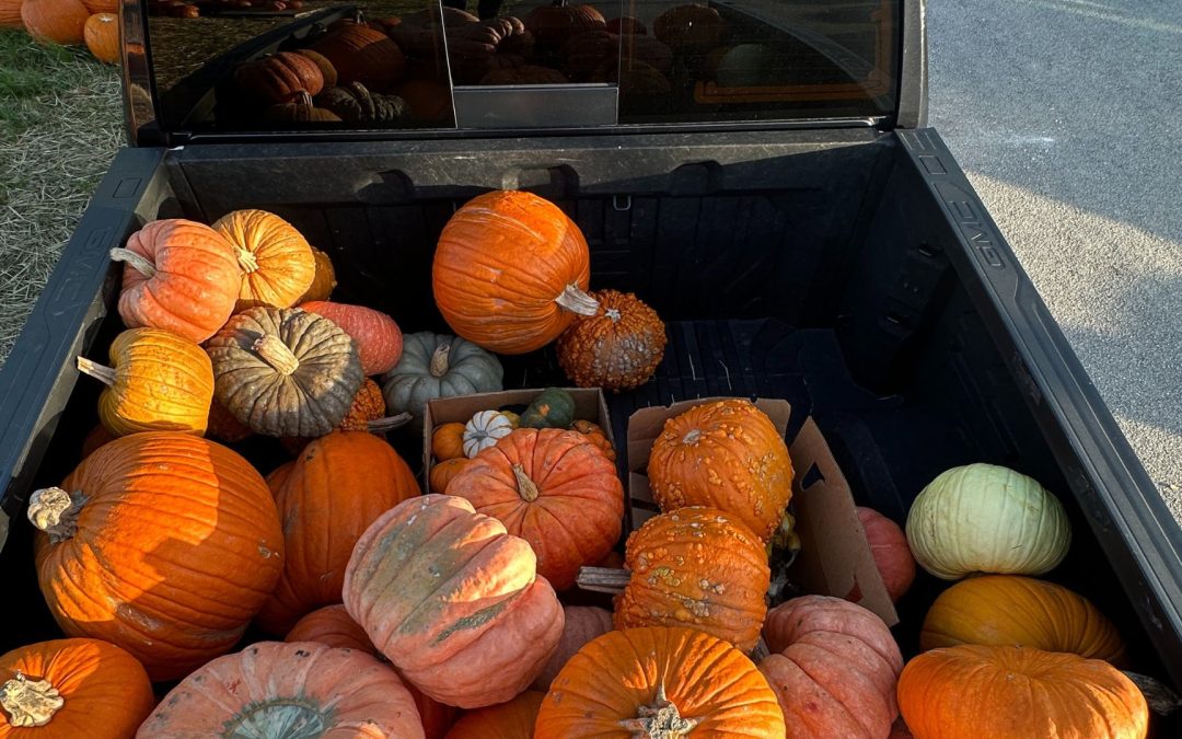 The Joy of Porch Pumpkin Deliveries: Why You Should Try It This Year